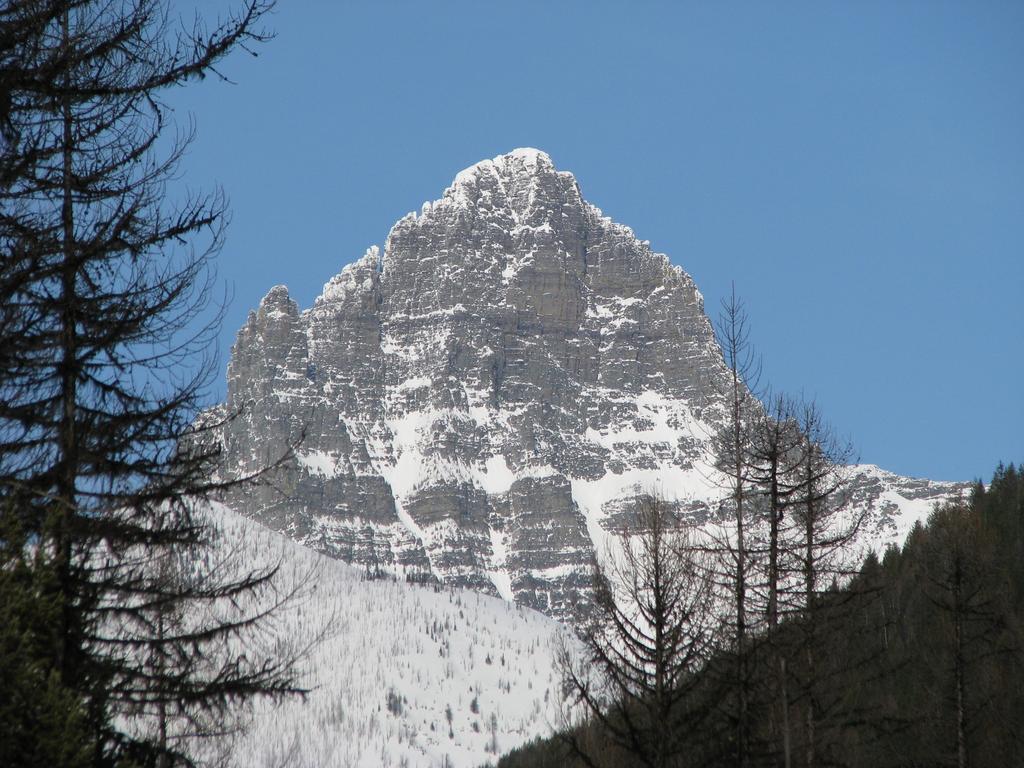Glacier Haven Inn Pinnacle Exterior foto